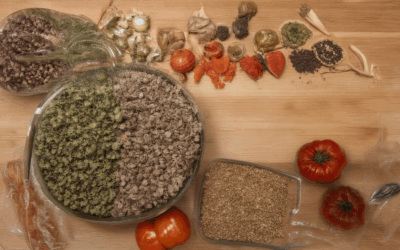 Ignite Your Home Seed Saving Journey: A Comprehensive Guide for Success
