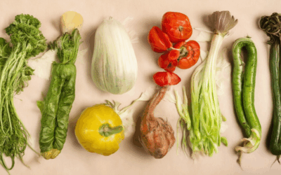 The Secret Power of Heirloom Vegetable Seeds: Unlock Flavor, Preserve Tradition, and Discover Why Heirloom Seeds Outshine Hybrids