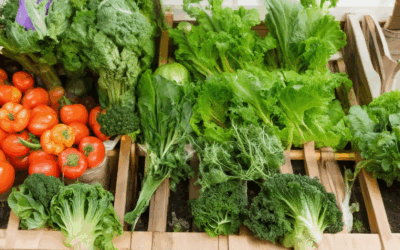 The Ultimate Guide to Organic Vegetable Gardening: Boosting Productivity and Health