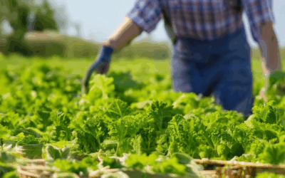 Exploring Low-Impact Farming Techniques: Discover Sustainable Practices and Essential Strategies for Eco-Friendly Agriculture