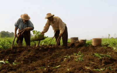 Exploring Historical Farming Techniques: Growing Crops Through the Ages