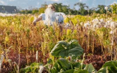 Top Heirloom Seed Networks: A Comprehensive Guide to Leading Companies and Their Benefits