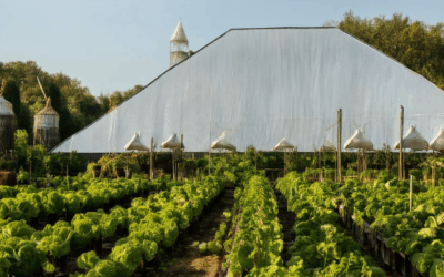 Historic Vegetable Gardening: From Tradition to Triumph