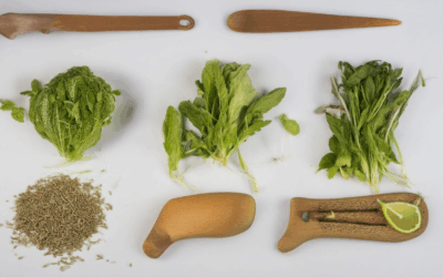 Mastering Heirloom Seed Collection: Tips, Tricks, and Legal Considerations