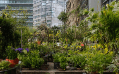 Igniting Urban Sustainable Gardening: A Guide to Thriving in City Environments
