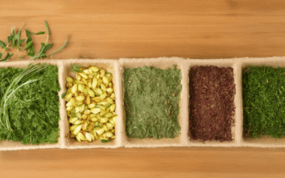 The Ultimate Guide to Heirloom Herbs for Cooking: Answers to Your Top Questions Including Organic Heirloom Herb Seeds