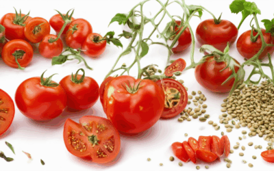 Unlocking the Secrets of Heirloom Preservation Efforts: A Step-by-Step Guide to Preserving Tomatoes and Seeds for Future Growing Seasons