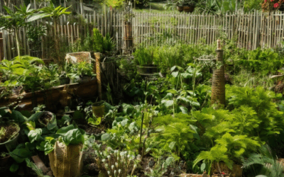 Elevating Your Backyard: A Comprehensive Guide to Permaculture Gardening
