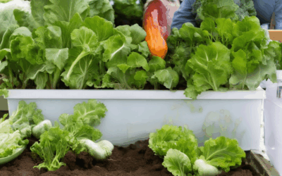 Mastering Seasonal Gardening with Heirlooms: Heirloom Vegetable Growth Strategies for Success