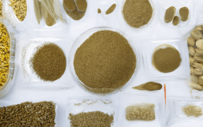 Mastering Seed Preservation Techniques for Long-Term Storage