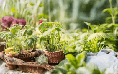 Discovering the Best Eco-Conscious Gardening Supplies: Key Features and Tips for Sustainable Gardening