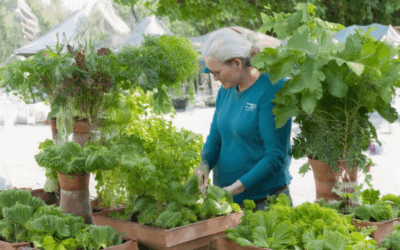 Igniting a Legacy: Effective Techniques for Preserving Heirloom Plants for Future Growth
