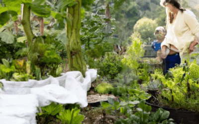 Designing Your Permaculture Garden: Basics, Principles, and Real-World Applications