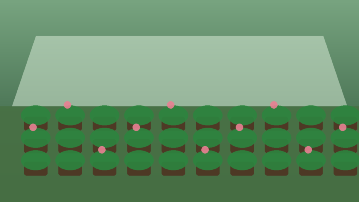 How Garden Center Buyers Should Review a Local Business Before Purchase featured visual