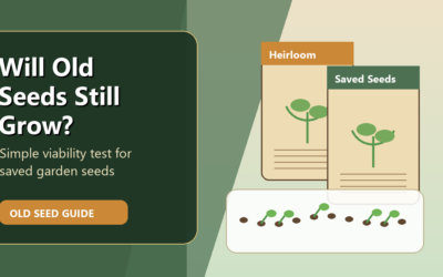 Maximizing Heirloom Seed Storage Success: Tips for Long-Term Viability and Germination